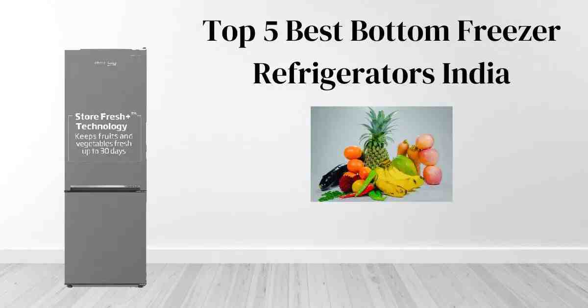 Best Bottom Freezer Refrigerator