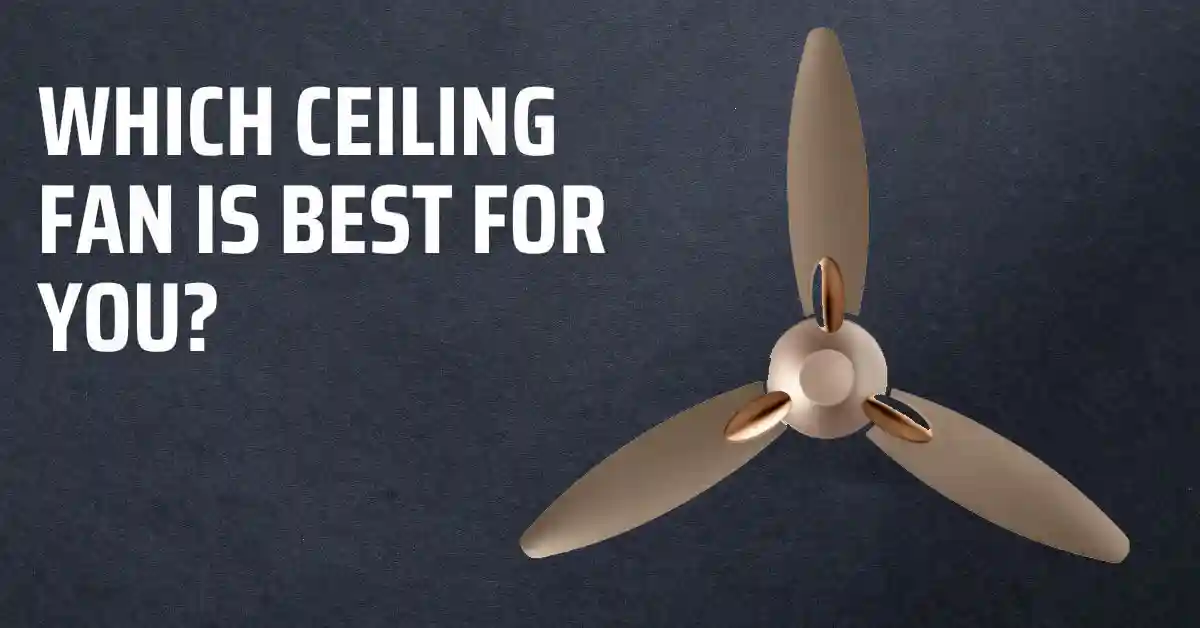 Which Ceiling Fan is Best for You? Find Out With This Quiz.